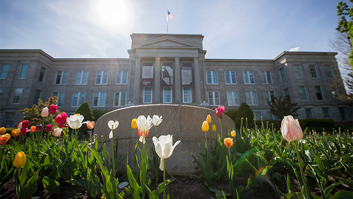 Carrington and tulips